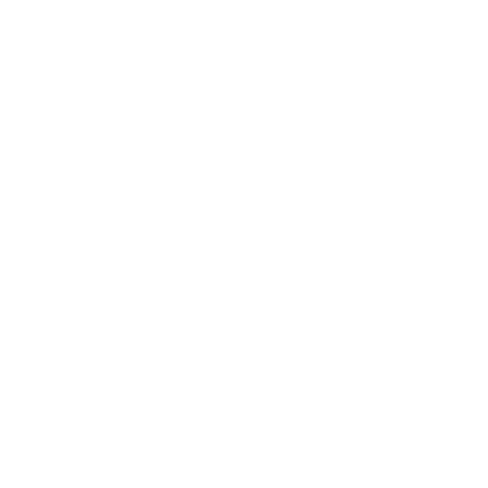 change language icon